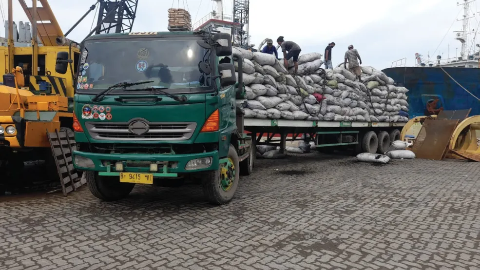 Domestic cargo transportation service example 1